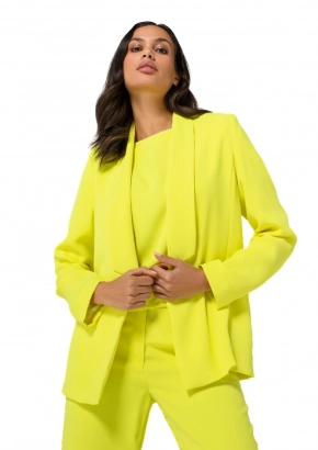 Caroline Biss blazer 1819/80