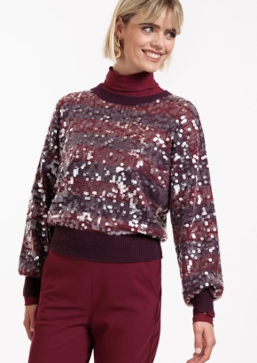 Lilly sequins pullover 12025